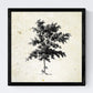 Set de cuatro láminas de arboles. Arboles medianos en cm, fondo papel antiguo vintage.-Artwork-Nacnic-Nacnic Estudio SL