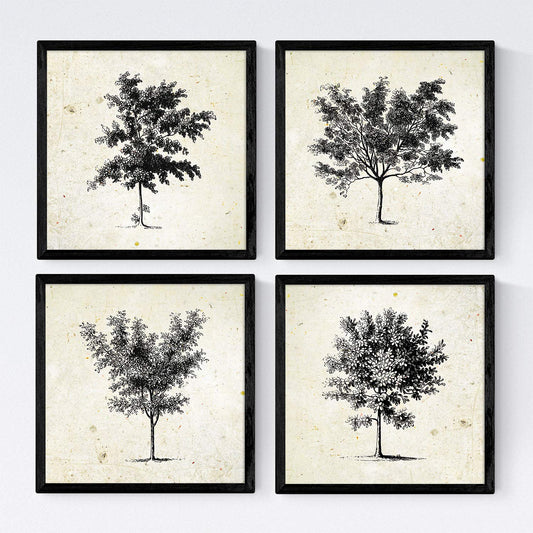 Set de cuatro láminas de arboles. Arboles medianos en cm, fondo papel antiguo vintage.-Artwork-Nacnic-Nacnic Estudio SL