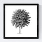 Set de cuatro láminas de arboles. Arboles medianos tronco fino en cm, fondo blanco.-Artwork-Nacnic-Nacnic Estudio SL