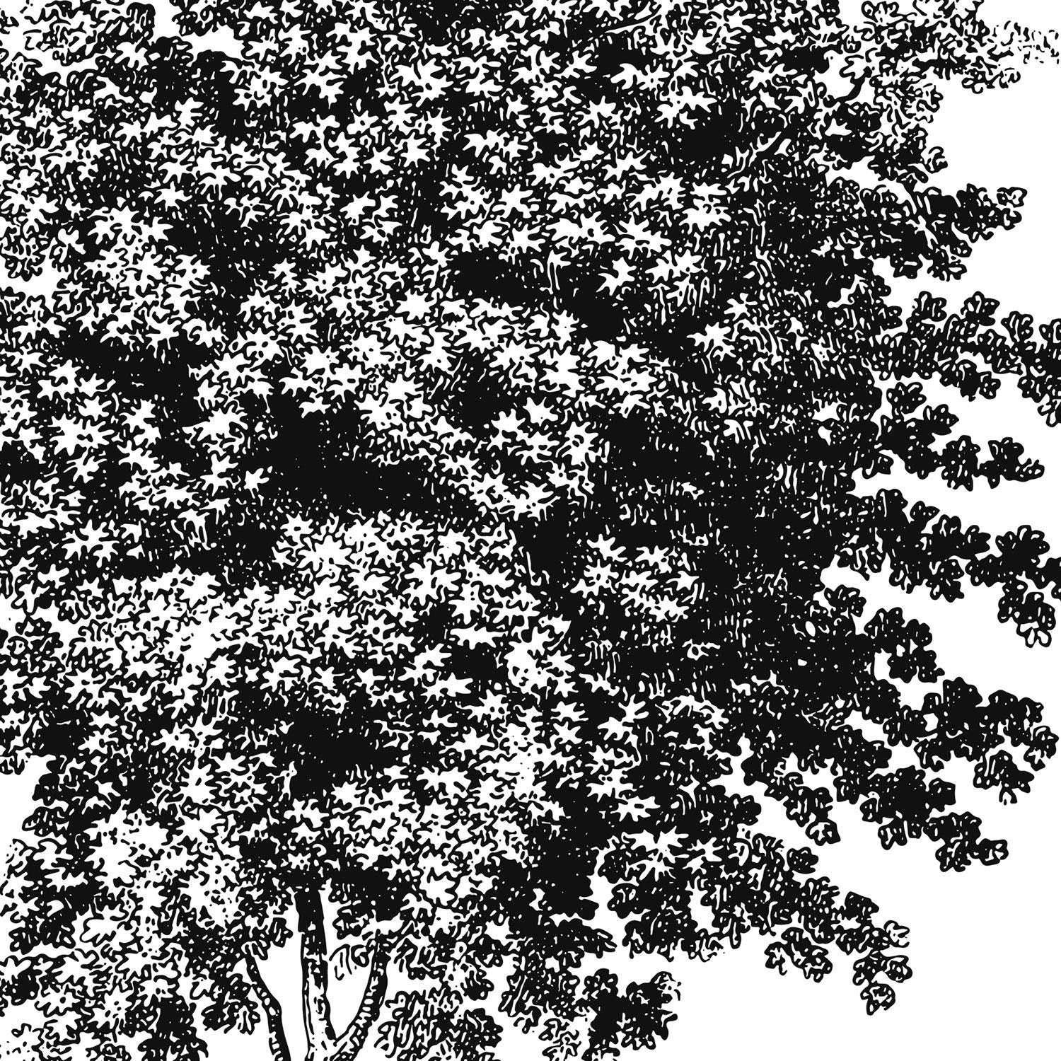 Set de cuatro láminas de arboles. Arboles medianos tronco fino en cm, fondo blanco.-Artwork-Nacnic-Nacnic Estudio SL