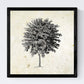 Set de cuatro láminas de arboles. Arboles medianos tronco fino en cm, fondo papel antiguo vintage .-Artwork-Nacnic-Nacnic Estudio SL