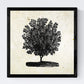Set de cuatro láminas de arboles. Arboles mix en cm, fondo papel antiguo vintage.-Artwork-Nacnic-Nacnic Estudio SL
