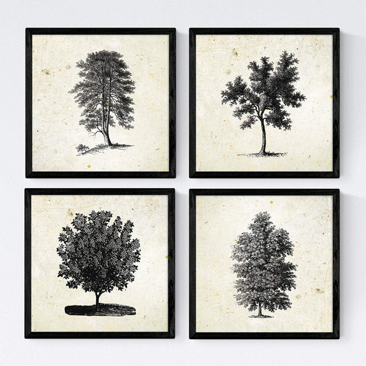 Set de cuatro láminas de arboles. Arboles mix en cm, fondo papel antiguo vintage.-Artwork-Nacnic-Nacnic Estudio SL
