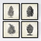 Set de cuatro láminas de arboles. Arboles muy fondosos en cm, fondo papel antiguo vintage.-Artwork-Nacnic-Nacnic Estudio SL