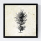 Set de cuatro láminas de arboles. Arboles ornamentales en cm, fondo papel antiguo vintage Poster papel 250 gr.-Artwork-Nacnic-Nacnic Estudio SL