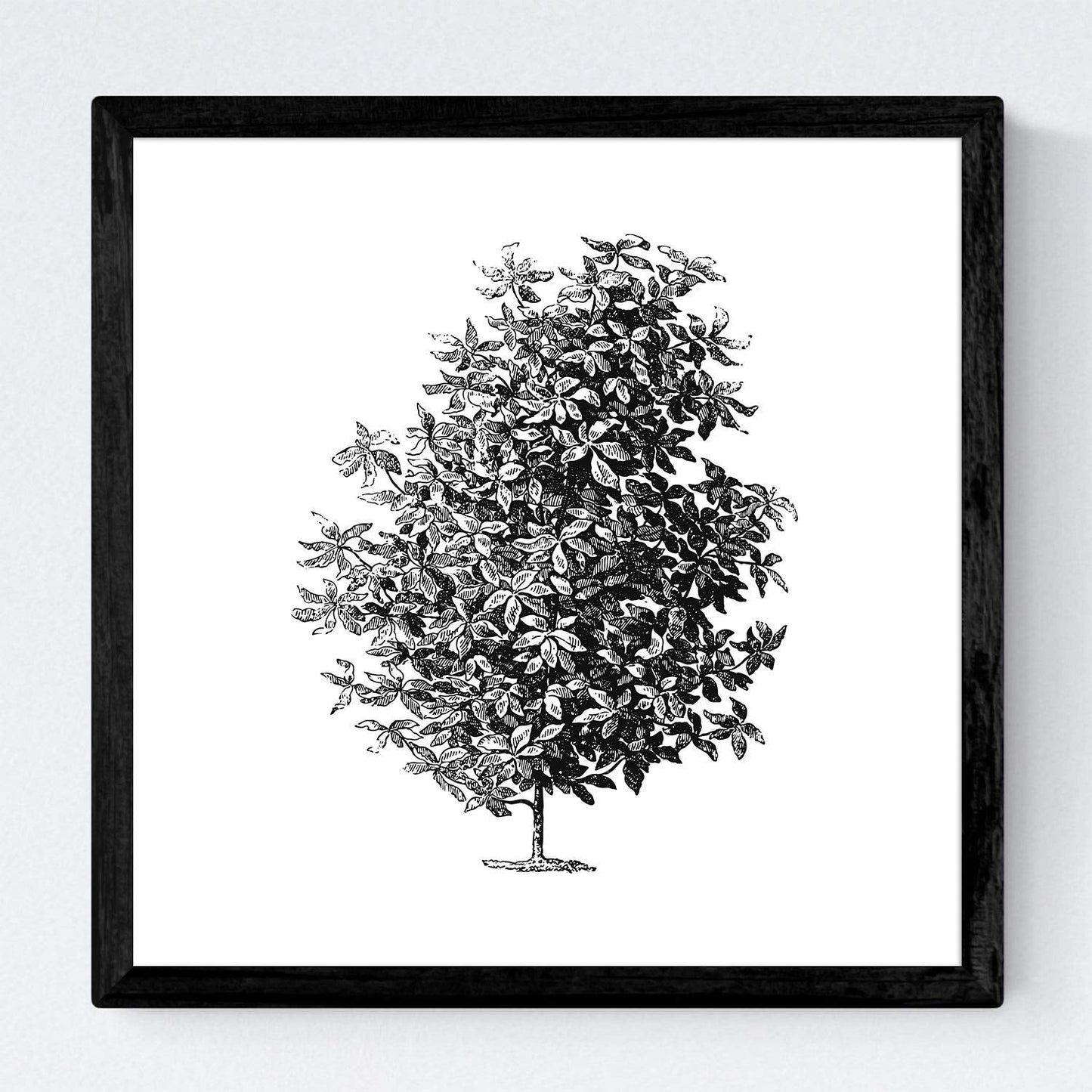 Set de cuatro láminas de arboles. Arboles ramas frondosas en cm, fondo blanco .-Artwork-Nacnic-Nacnic Estudio SL