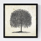 Set de cuatro láminas de arboles. Arboles sauces en cm, fondo papel antiguo vintage.-Artwork-Nacnic-Nacnic Estudio SL