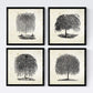 Set de cuatro láminas de arboles. Arboles sauces en cm, fondo papel antiguo vintage.-Artwork-Nacnic-Nacnic Estudio SL