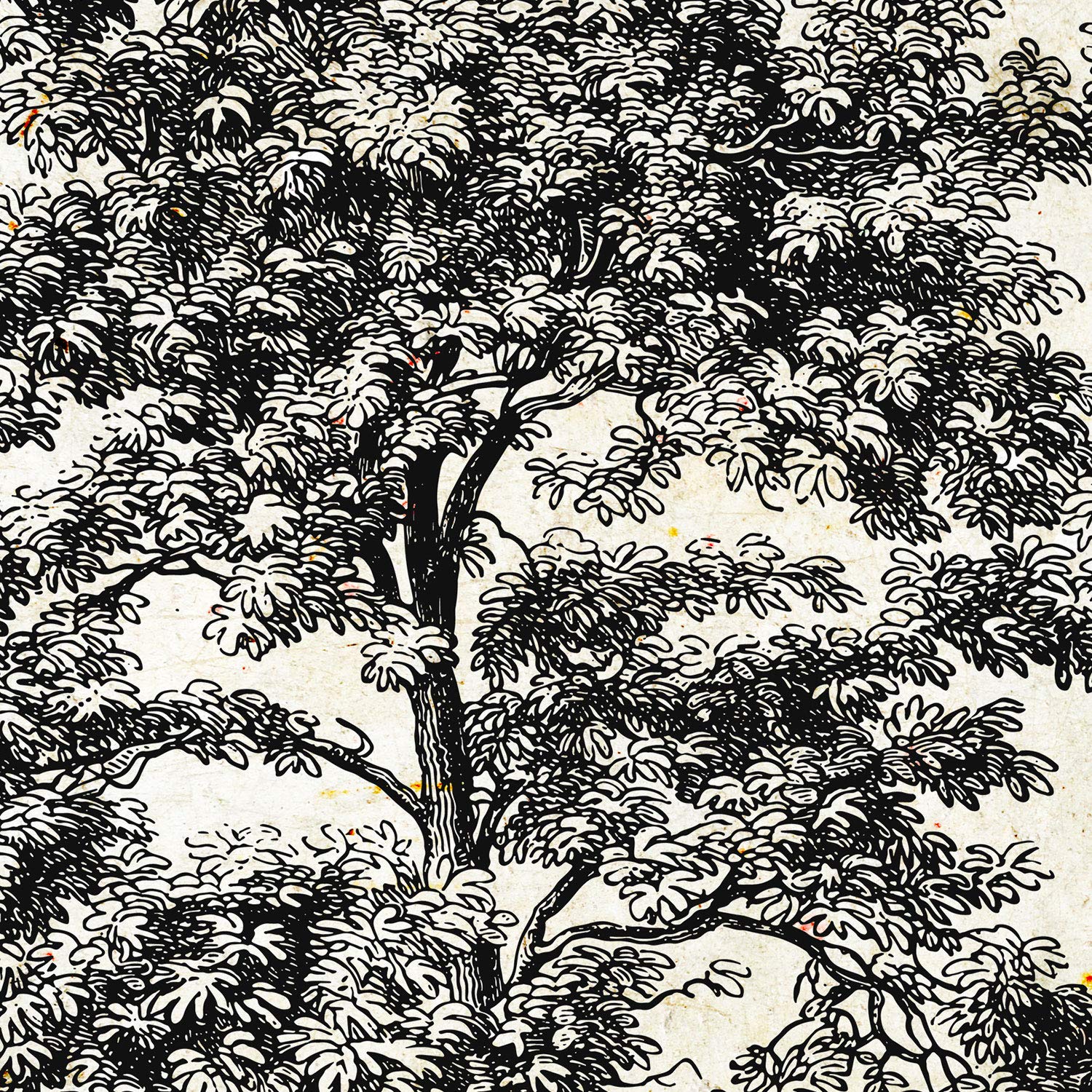 Set de cuatro láminas de arboles. Arboles sin flores en cm, fondo papel antiguo vintage .-Artwork-Nacnic-Nacnic Estudio SL
