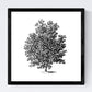 Set de cuatro láminas de arboles. Arboles sin frutos en cm, fondo blanco .-Artwork-Nacnic-Nacnic Estudio SL
