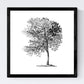 Set de cuatro láminas de arboles. Arboles sin frutos en cm, fondo blanco .-Artwork-Nacnic-Nacnic Estudio SL