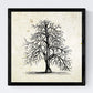 Set de cuatro láminas de arboles. Arboles sin frutos en cm, fondo papel antiguo vintage.-Artwork-Nacnic-Nacnic Estudio SL
