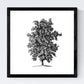 Set de cuatro láminas de arboles. Arboles sin y con hoja en cm, fondo papel antiguo vintage .-Artwork-Nacnic-Nacnic Estudio SL