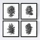 Set de cuatro láminas de arboles. Arboles talla alta en cm, fondo blanco .-Artwork-Nacnic-Nacnic Estudio SL