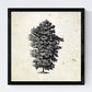Set de cuatro láminas de arboles. Arboles talla alta en cm, fondo papel antiguo vintage.-Artwork-Nacnic-Nacnic Estudio SL