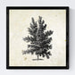 Set de cuatro láminas de arboles. Arboles talla alta en cm, fondo papel antiguo vintage.-Artwork-Nacnic-Nacnic Estudio SL
