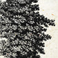 Set de cuatro láminas de arboles. Arboles talla alta en cm, fondo papel antiguo vintage.-Artwork-Nacnic-Nacnic Estudio SL