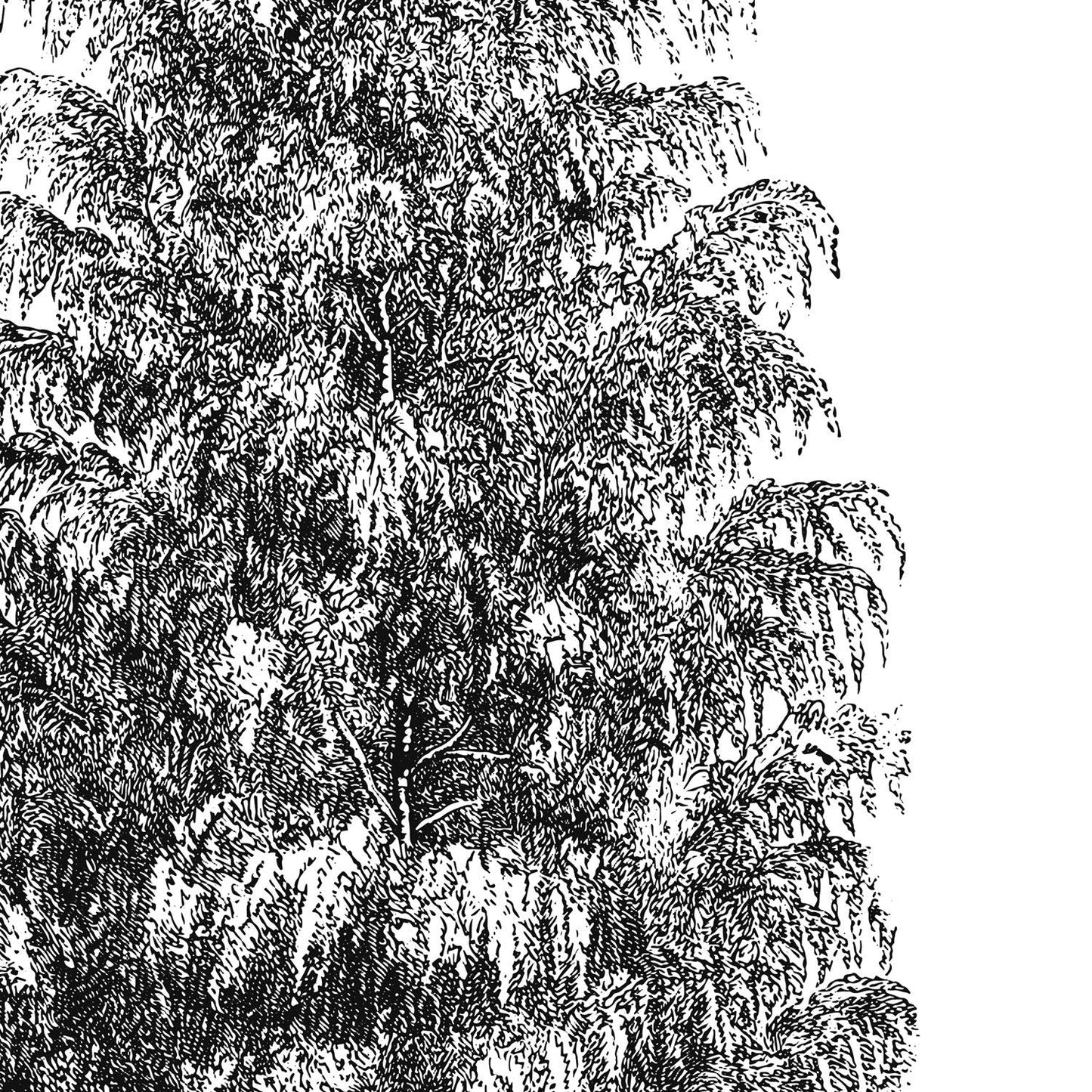 Set de cuatro láminas de arboles. Arboles tronco medio en cm, fondo blanco.-Artwork-Nacnic-Nacnic Estudio SL