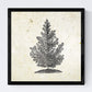 Set de cuatro láminas de arboles. Arboles tronco medio en cm, fondo papel antiguo vintage.-Artwork-Nacnic-Nacnic Estudio SL