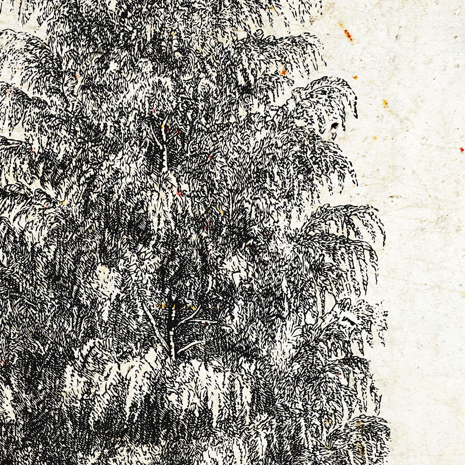 Set de cuatro láminas de arboles. Arboles tronco medio en cm, fondo papel antiguo vintage.-Artwork-Nacnic-Nacnic Estudio SL