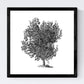 Set de cuatro láminas de arboles. Arboles troncos variados en cm, fondo blanco.-Artwork-Nacnic-Nacnic Estudio SL