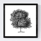 Set de cuatro láminas de arboles. Arboles troncos variados en cm, fondo blanco.-Artwork-Nacnic-Nacnic Estudio SL