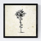 Set de cuatro láminas de arboles. Arboles troncos variados en cm, fondo papel antiguo vintage.-Artwork-Nacnic-Nacnic Estudio SL