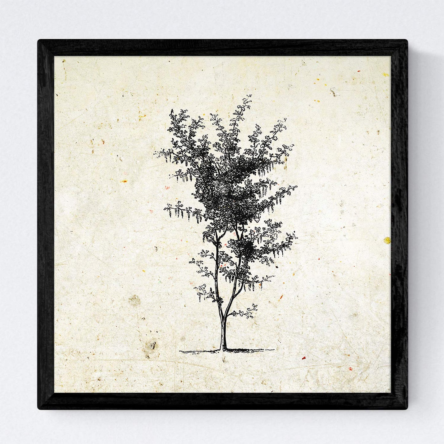 Set de cuatro láminas de arboles. Arboles troncos variados en cm, fondo papel antiguo vintage.-Artwork-Nacnic-Nacnic Estudio SL