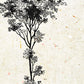 Set de cuatro láminas de arboles. Arboles troncos variados en cm, fondo papel antiguo vintage.-Artwork-Nacnic-Nacnic Estudio SL