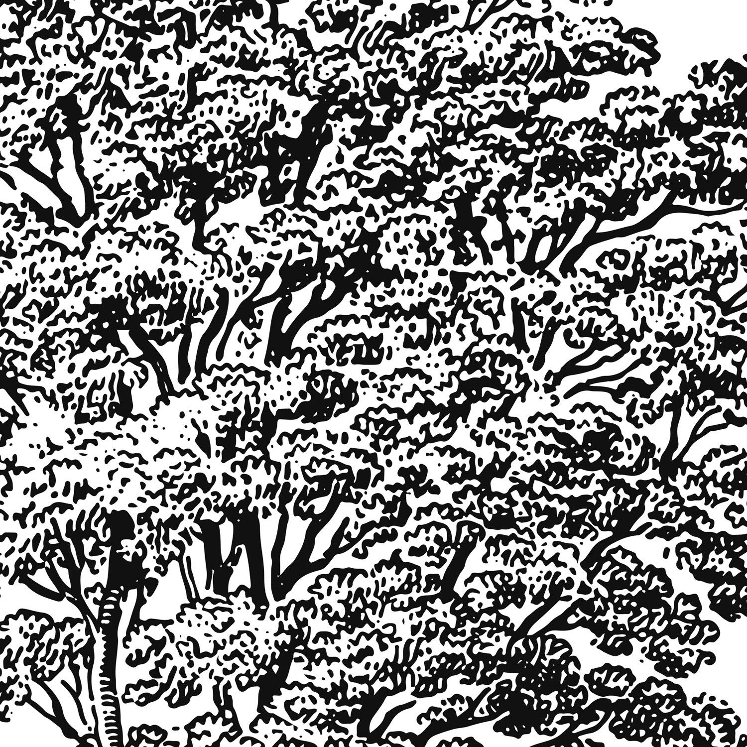 Set de cuatro láminas de arboles. Arboles variados en cm, fondo blanco .-Artwork-Nacnic-Nacnic Estudio SL