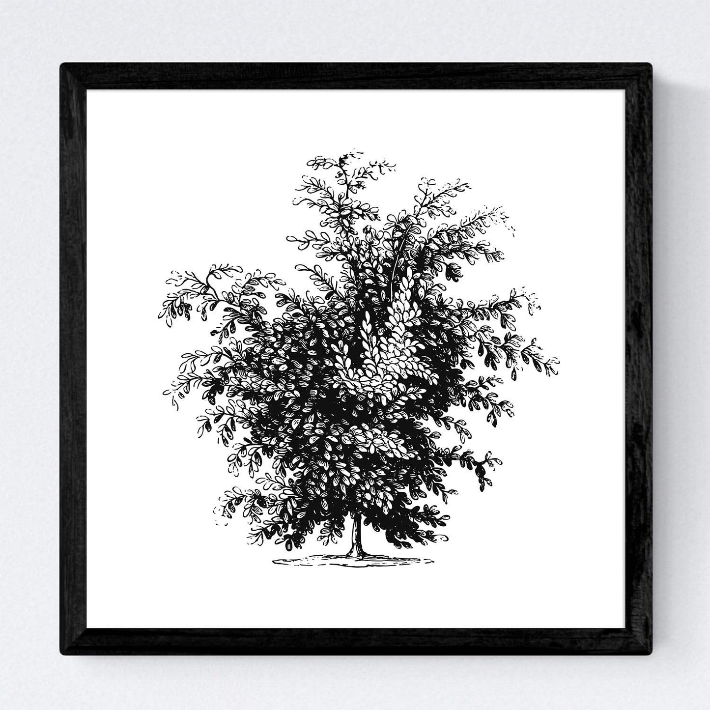 Set de cuatro láminas de arboles. Arboles y arbustos en cm, fondo blanco.-Artwork-Nacnic-Nacnic Estudio SL