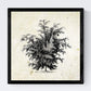 Set de cuatro láminas de arboles. Arboles y arbustos en cm, fondo papel antiguo vintage.-Artwork-Nacnic-Nacnic Estudio SL