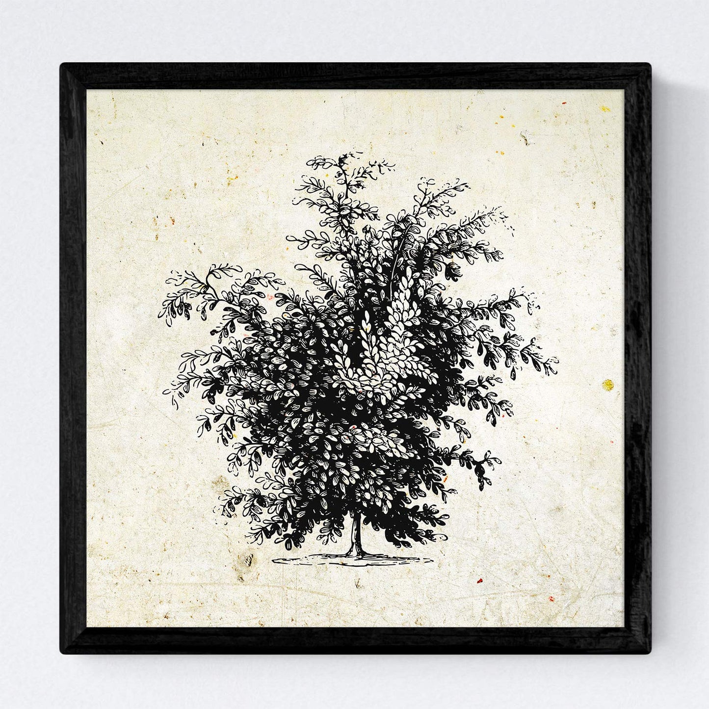 Set de cuatro láminas de arboles. Arboles y arbustos en cm, fondo papel antiguo vintage.-Artwork-Nacnic-Nacnic Estudio SL