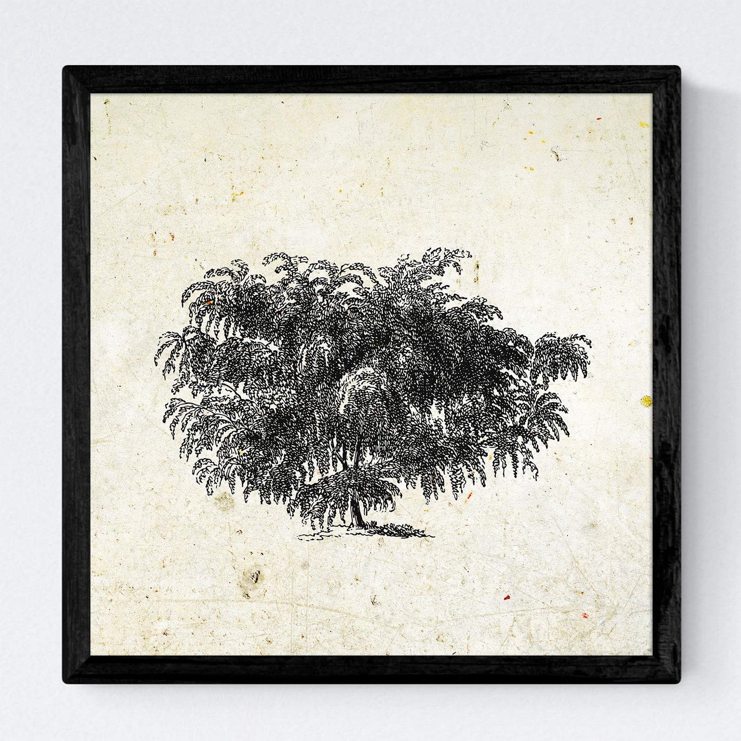 Set de cuatro láminas de arboles. Arboles y arbustos en cm, fondo papel antiguo vintage.-Artwork-Nacnic-Nacnic Estudio SL