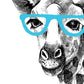 Set de dos láminas ANIMALES ILUSTRADOS. Pack de dos poster para enmarcar con ilustraciones de animales. alta calidad.-Artwork-Nacnic-Nacnic Estudio SL