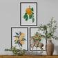 Set de láminas Cítricos. Pósters con ilustraciones de plantas y flores en estilo acuarela.-Artwork-Nacnic-Nacnic Estudio SL