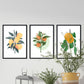 Set de láminas Cítricos. Pósters con ilustraciones de plantas y flores en estilo acuarela.-Artwork-Nacnic-Nacnic Estudio SL
