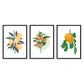 Set de láminas Cítricos. Pósters con ilustraciones de plantas y flores en estilo acuarela.-Artwork-Nacnic-Nacnic Estudio SL