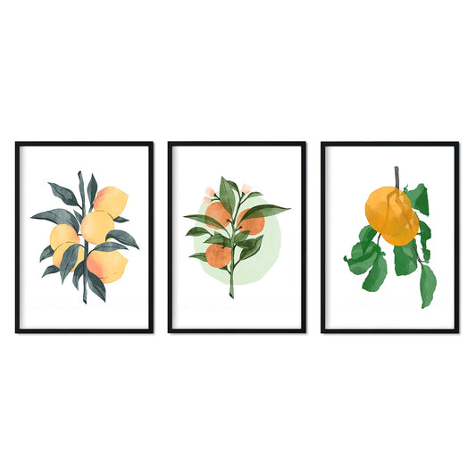 Set de láminas Cítricos. Pósters con ilustraciones de plantas y flores en estilo acuarela.-Artwork-Nacnic-Nacnic Estudio SL