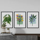 Set de láminas Flores. Pósters con ilustraciones de plantas y flores en estilo acuarela.-Artwork-Nacnic-Nacnic Estudio SL