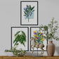 Set de láminas Flores. Pósters con ilustraciones de plantas y flores en estilo acuarela.-Artwork-Nacnic-Nacnic Estudio SL