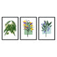 Set de láminas Flores. Pósters con ilustraciones de plantas y flores en estilo acuarela.-Artwork-Nacnic-Nacnic Estudio SL