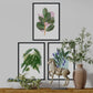 Set de láminas Hojas. Pósters con ilustraciones de plantas y flores en estilo acuarela.-Artwork-Nacnic-Nacnic Estudio SL