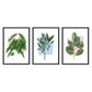 Set de láminas Hojas. Pósters con ilustraciones de plantas y flores en estilo acuarela.-Artwork-Nacnic-Nacnic Estudio SL