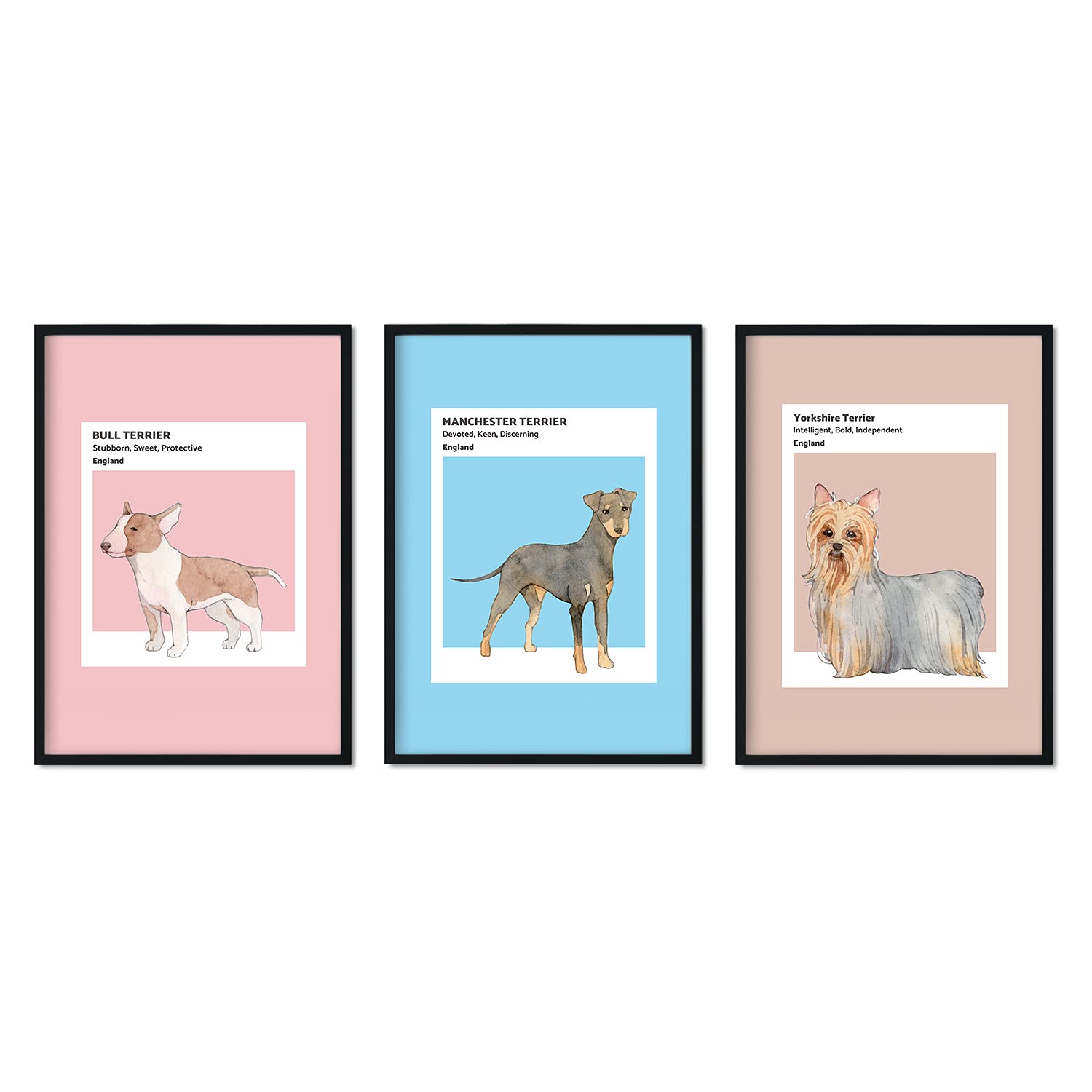 Set de láminas Pack Inglaterra. Pósters con ilustraciones de razas de perro en tonos cálidos y pastel.-Artwork-Nacnic-Nacnic Estudio SL