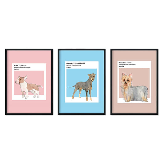 Set de láminas Pack Inglaterra. Pósters con ilustraciones de razas de perro en tonos cálidos y pastel.-Artwork-Nacnic-Nacnic Estudio SL