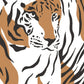 Set de posters de animales de la jungla. Lámina Tigre Leopardo con diseño de animales, flores y plantas de la jungla.-Artwork-Nacnic-Nacnic Estudio SL