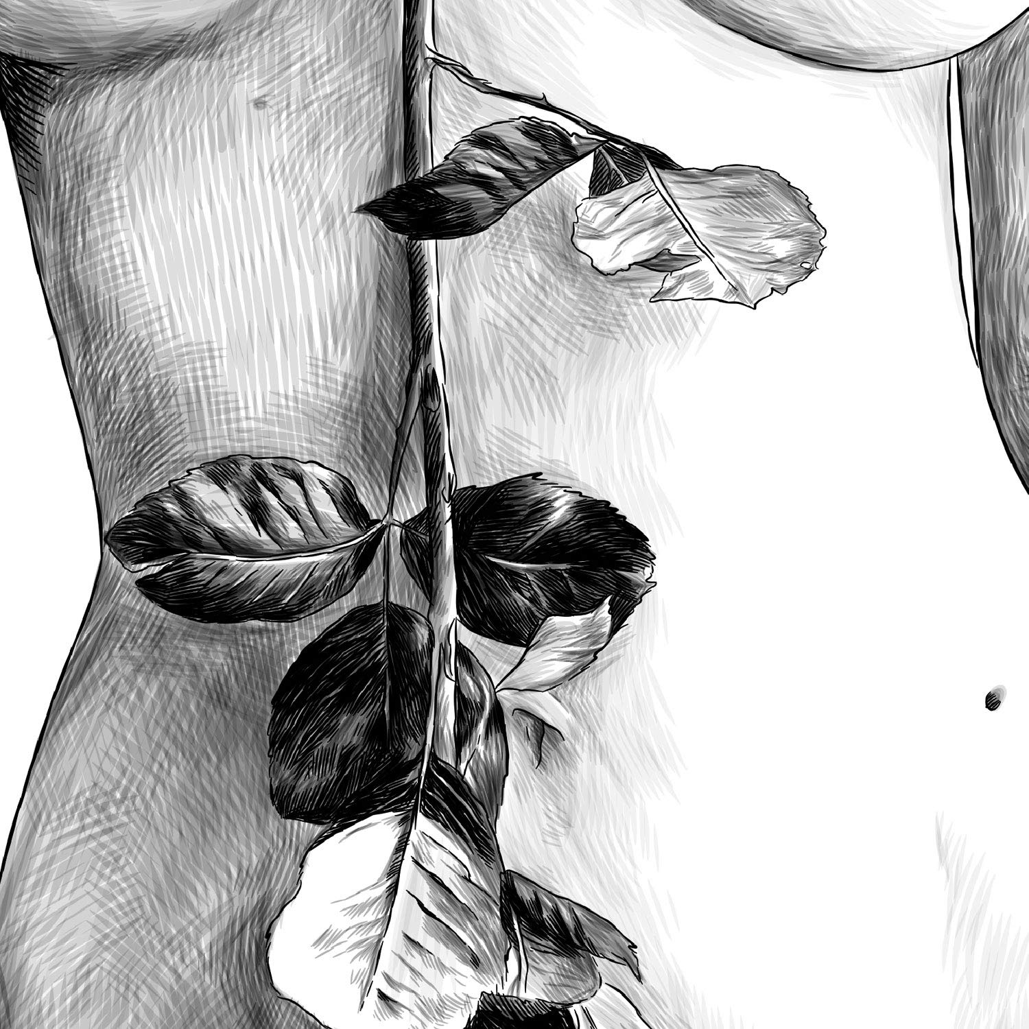Set de posters eróticos. Láminas Cuerpo Torso Rostro dibujadas con imágenes sensuales del cuerpo femenino.-Artwork-Nacnic-Nacnic Estudio SL