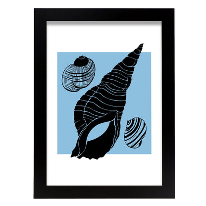 Shell collection-Artwork-Nacnic-A4-Sin marco-Nacnic Estudio SL