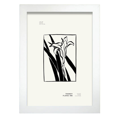 Single Iris-Artwork-Nacnic-A4-Marco Blanco-Nacnic Estudio SL